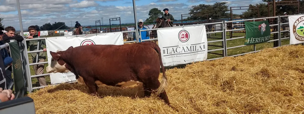 IMG_20230929_144126929_HDR