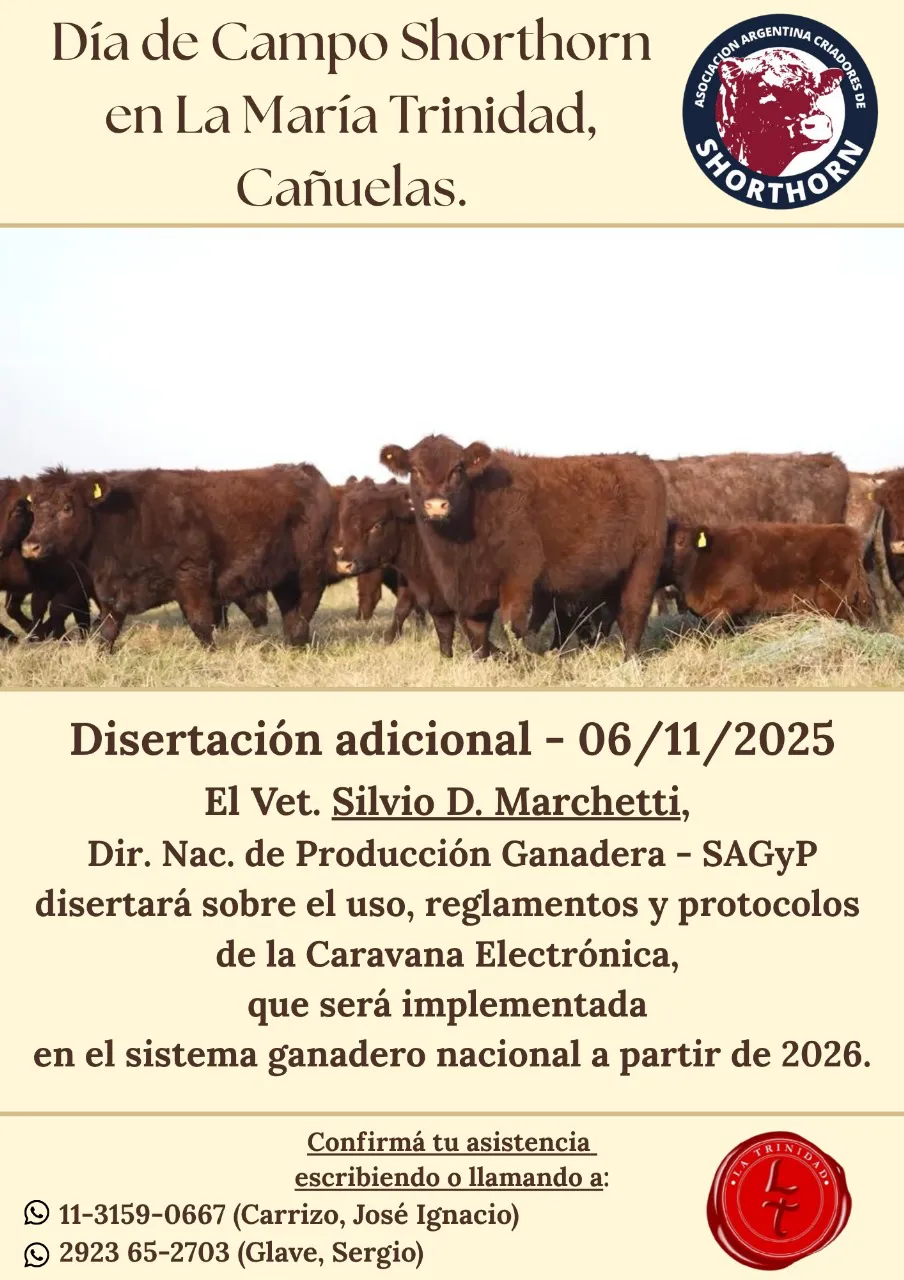 WhatsApp Image 2025-10-29 at 5.24.38 PM