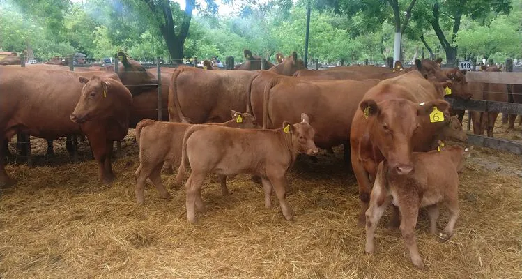 tn_IMG_20231129_142406591