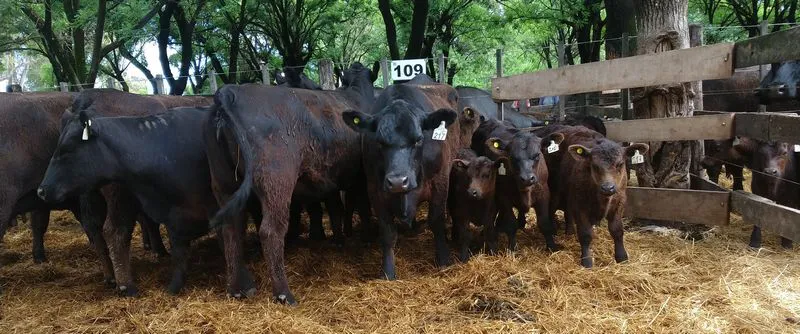 tn_IMG_20231129_144558763