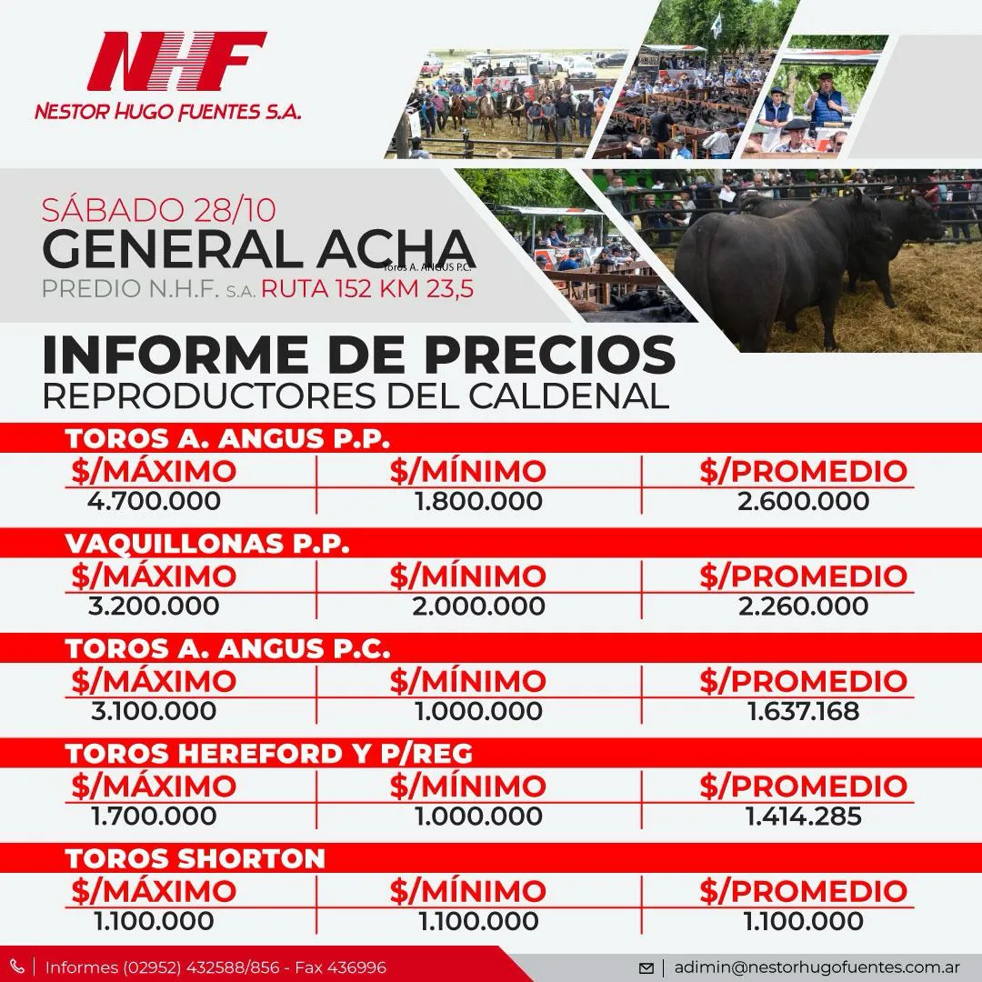 NHF2