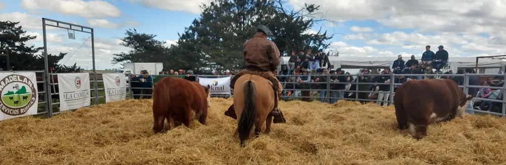 IMG_20230929_145057010_HDR