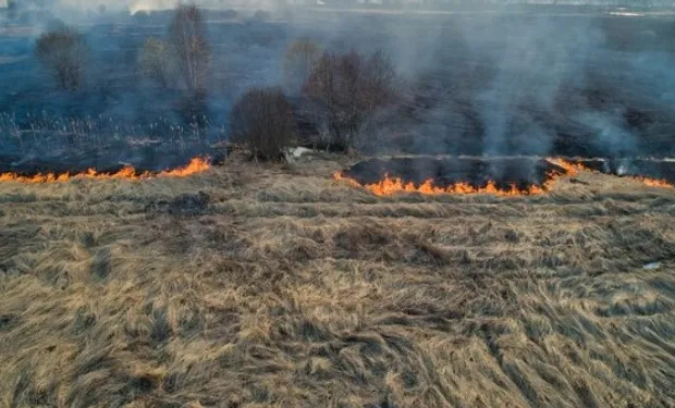 ley_de_fuego_argentina-215535