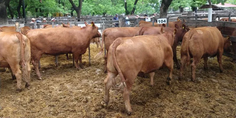 tn_IMG_20231129_145228204