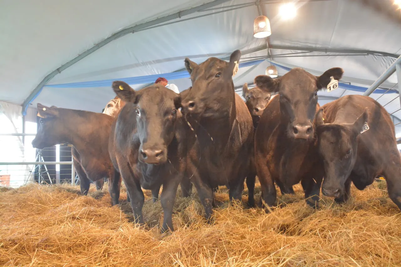 WhatsApp Image 2023-10-04 at 17.22.59