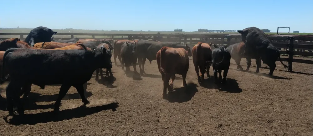 IMG_20231116_112152625