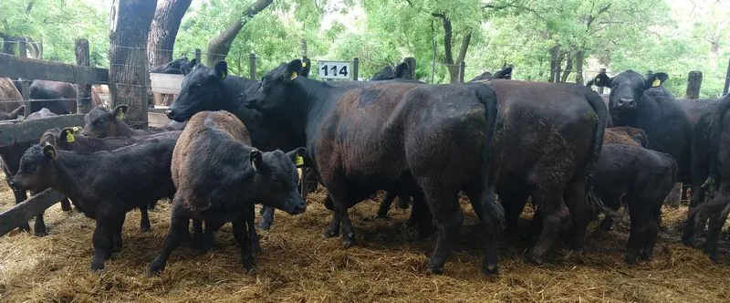 tn_IMG_20231129_143603103