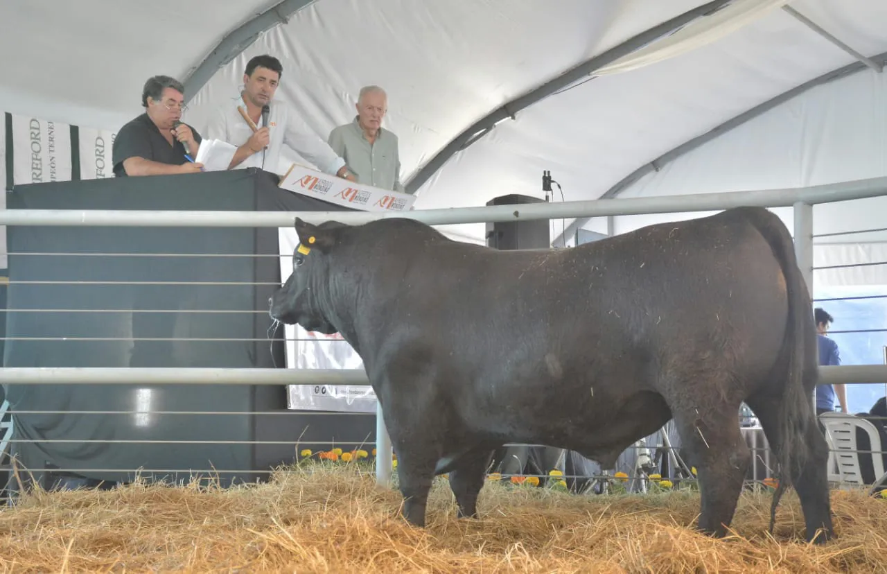 WhatsApp Image 2023-10-04 at 17.21.34