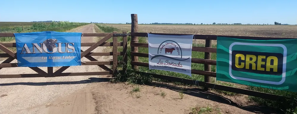 IMG_20231116_103248747