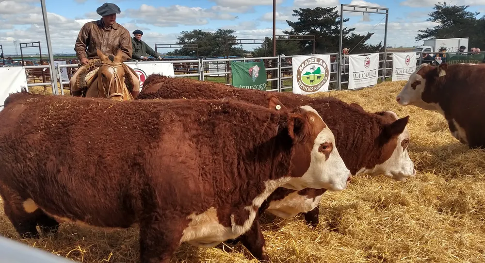 IMG_20230929_152600374_HDR