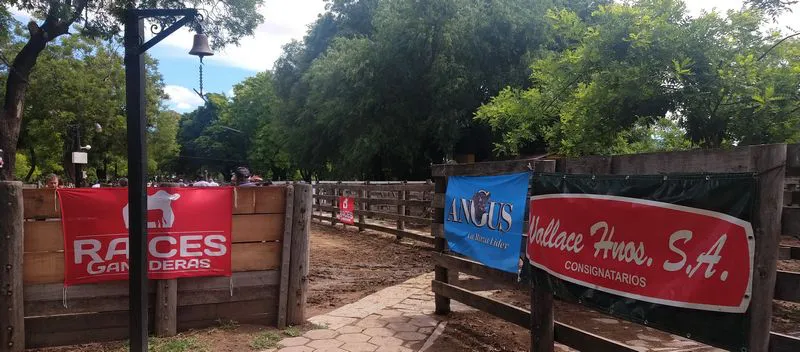 tn_IMG_20231129_142107095