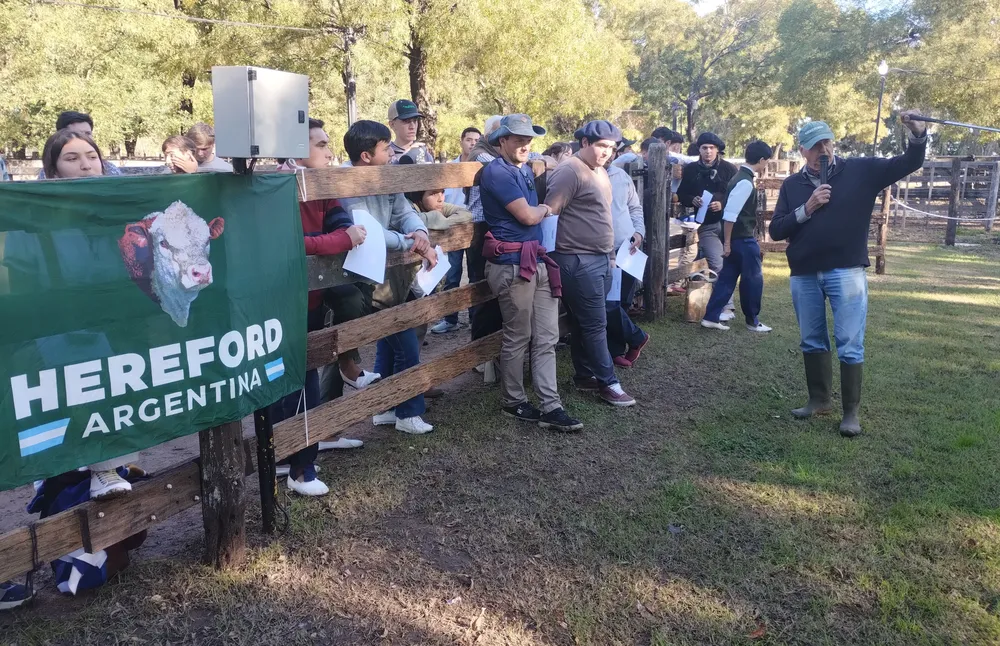 HEREFORD CONCURSO - EXPO OTOÑO EN AZUL