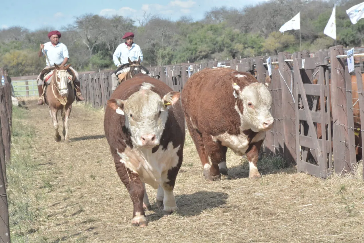 WhatsApp Image 2023-10-04 at 17.21.26