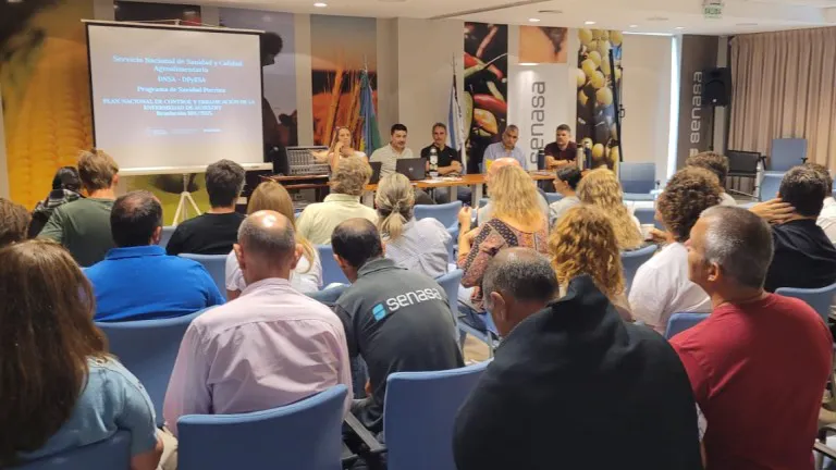 WhatsApp Image 2025-12-12 at 8.33.47 AM