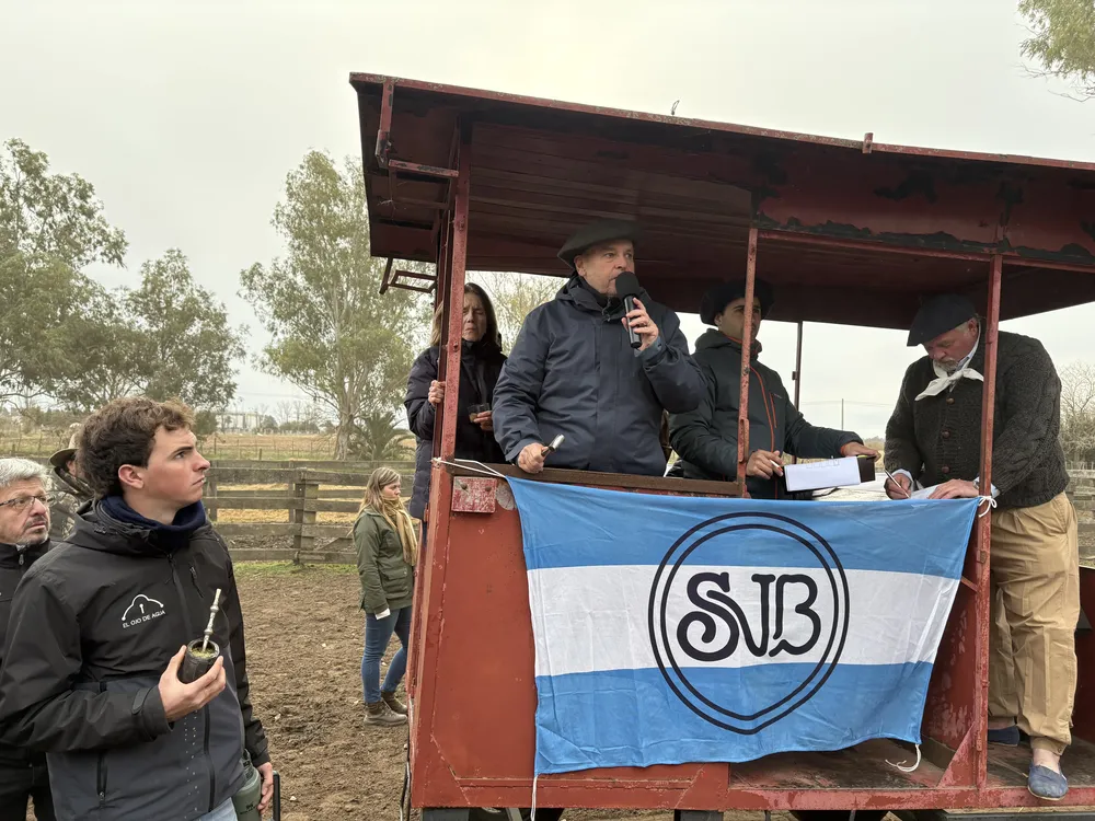 FERNANDO SAENZ VALIENTE - SVB