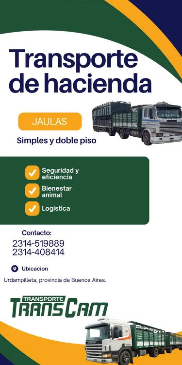 TransCam_20250715_121348_0000
