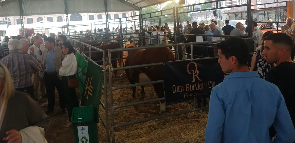 IMG_20231128_192409332