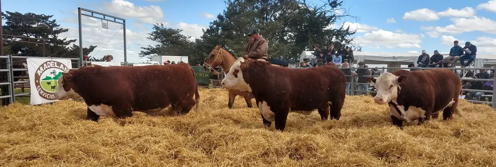 IMG_20230929_150307538_HDR