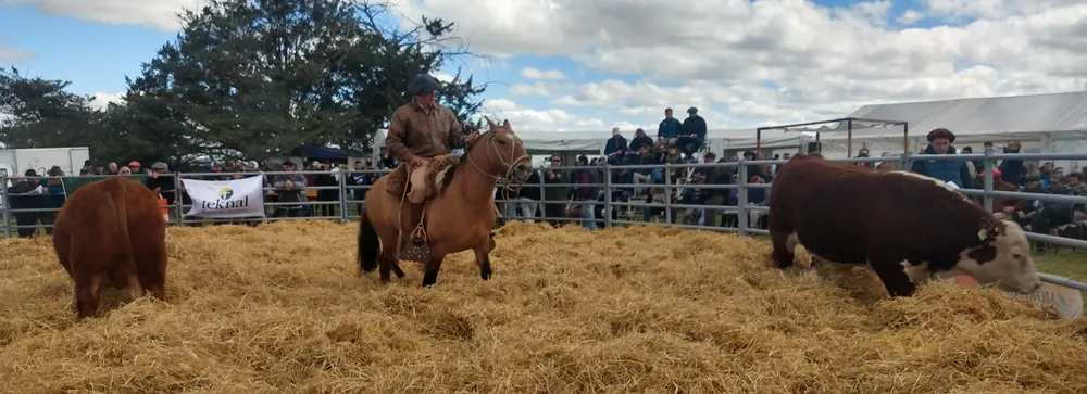 IMG_20230929_145101886_HDR