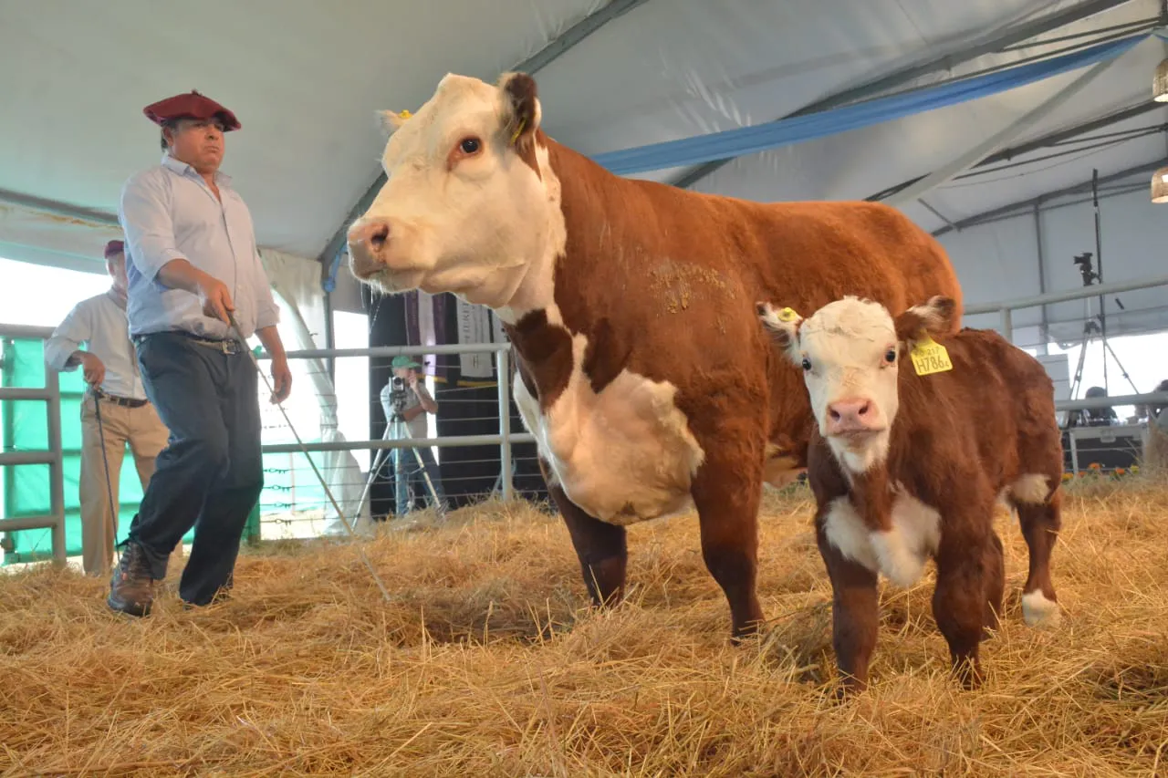 WhatsApp Image 2023-10-04 at 17.23.34