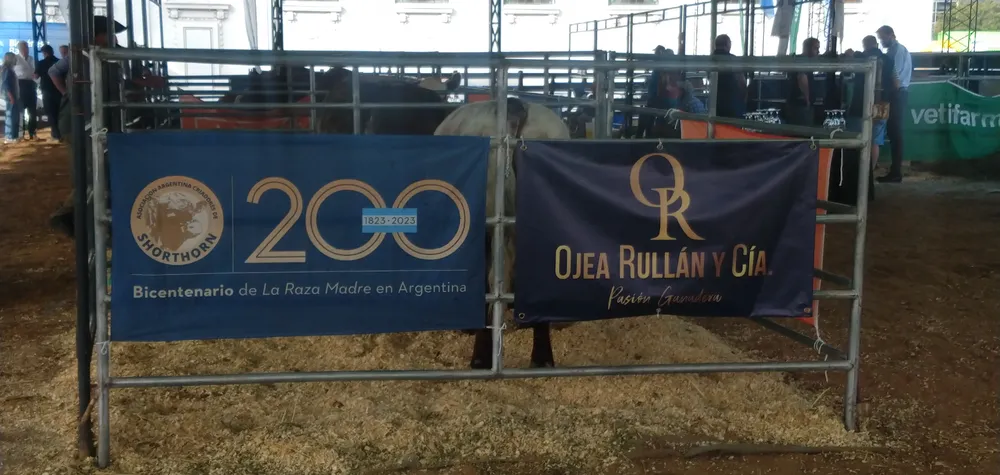 IMG_20231128_174222152