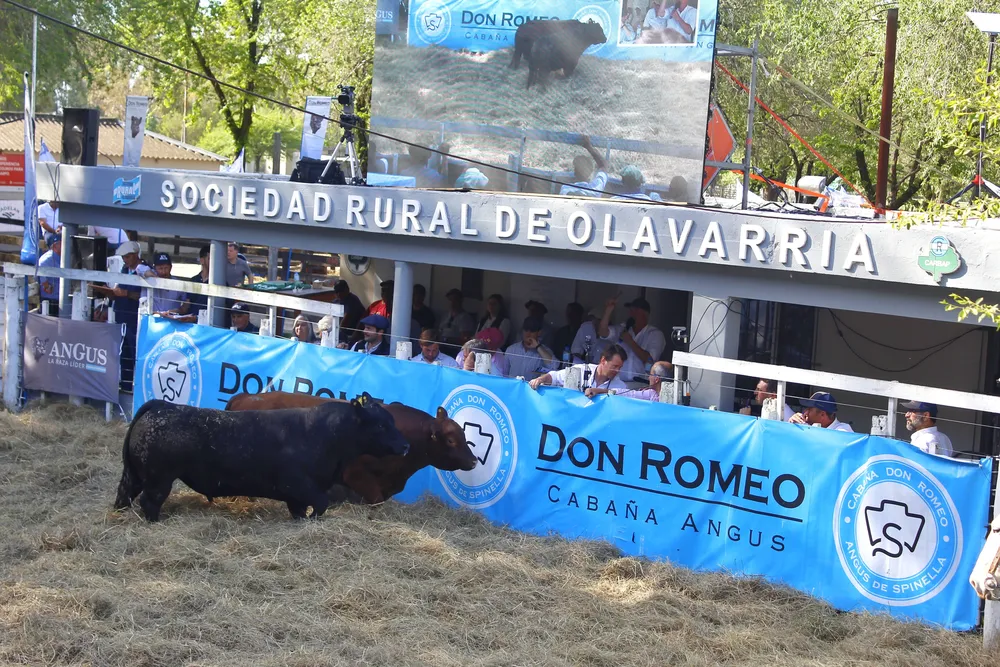 REMATE CABAÑA DON ROMEO - OLAVARRIA