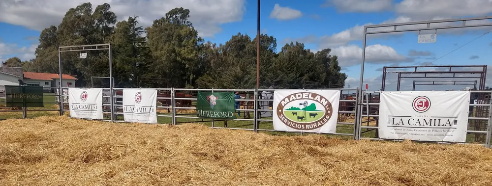 IMG_20230929_141119678_HDR