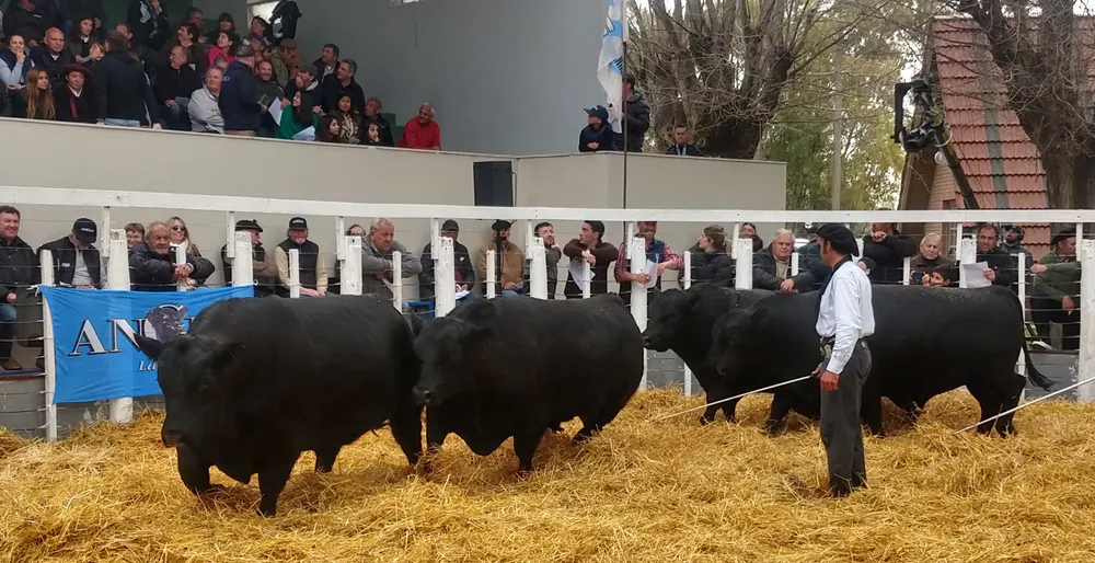 IMG_20230922_153248823_HDR