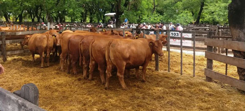 tn_IMG_20231129_142231107