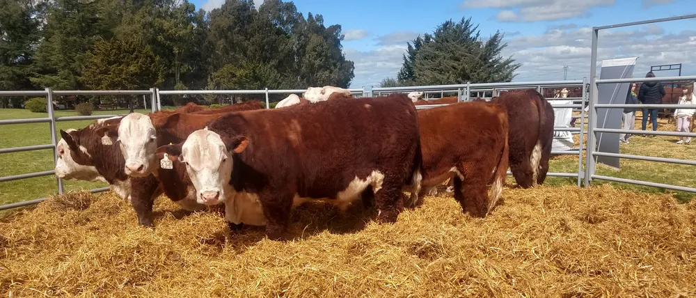 IMG_20230929_141615186_HDR