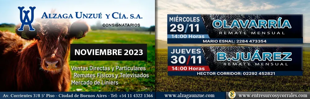 ALZAGA