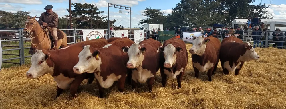 IMG_20230929_160832166_HDR