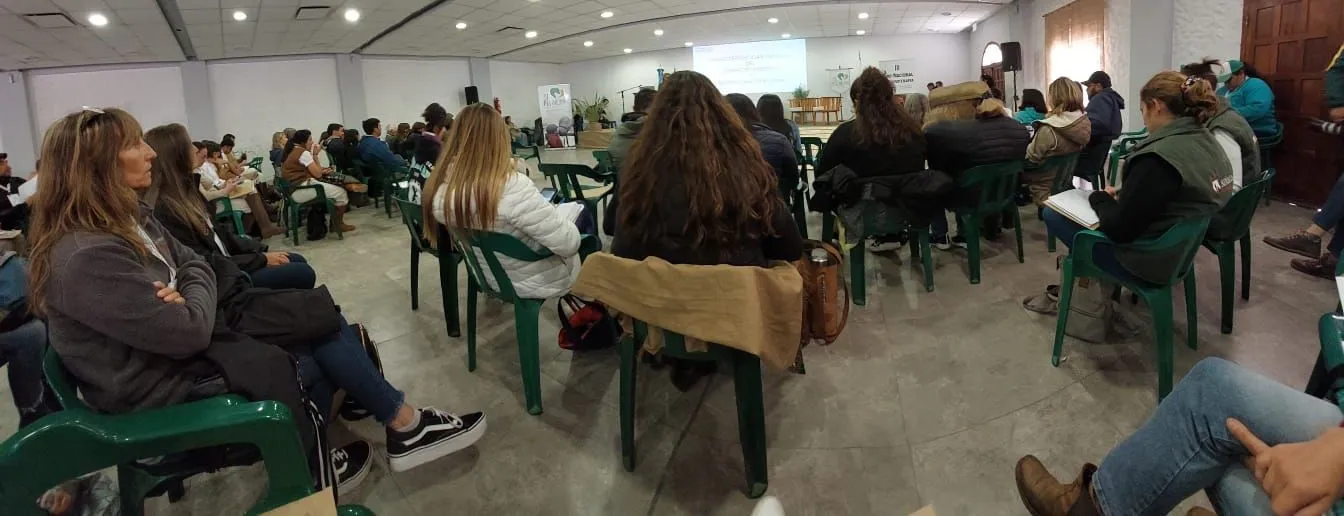 RETOZA7