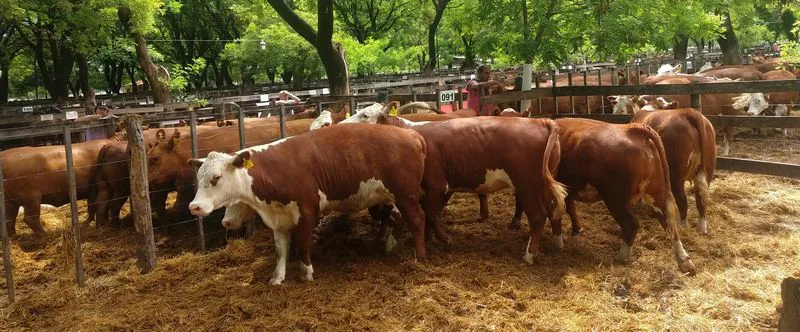 tn_IMG_20231129_151350358