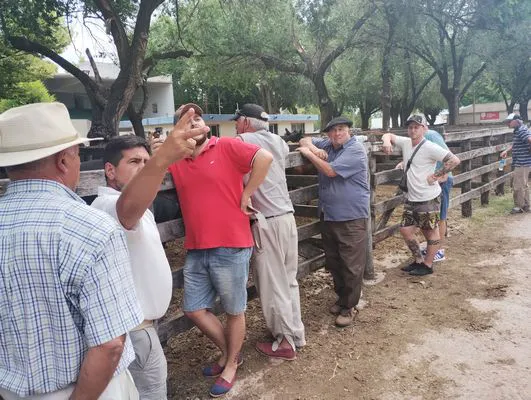 tn_IMG_20250116_154903785