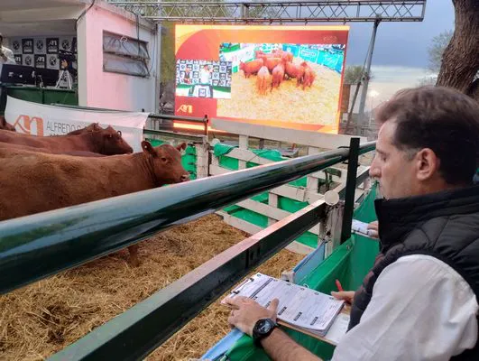 tn_IMG_20240907_183357104_HDR