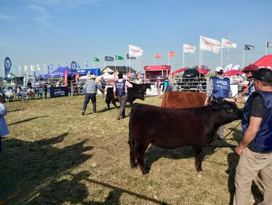 tn_IMG_20240918_160534731_HDR