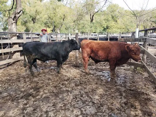 tn_IMG_20250514_124021831