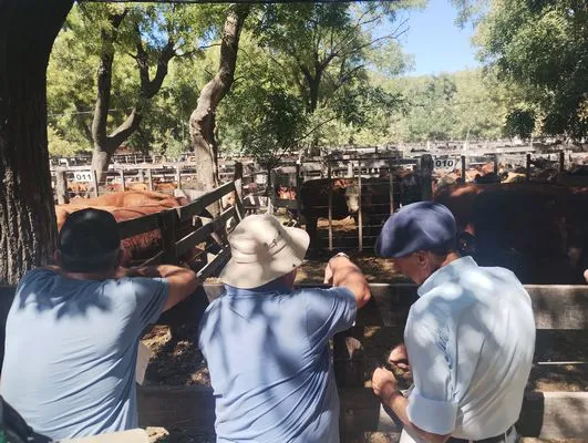 tn_IMG_20250122_104457183