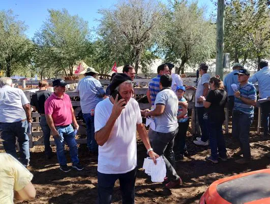 tn_IMG_20240406_142717547_HDR