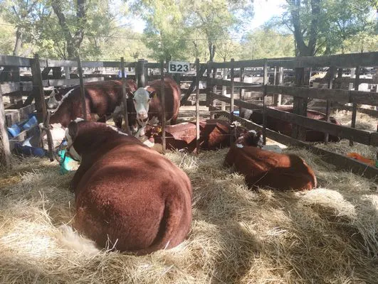 tn_IMG_20250508_140009799