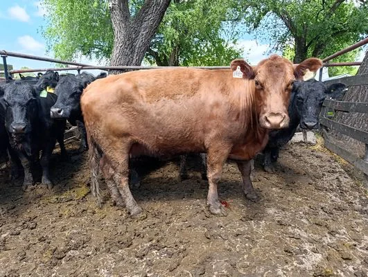 M10