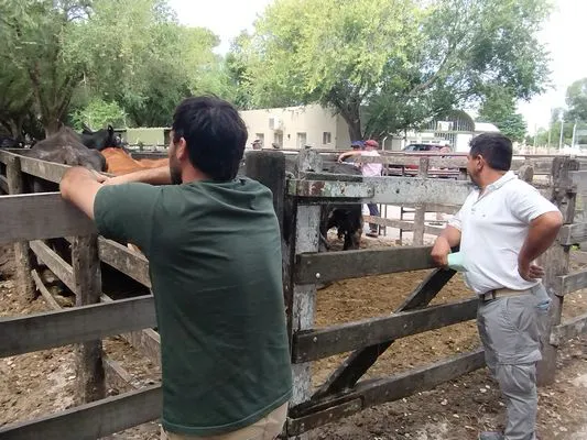 tn_IMG_20250116_154142906