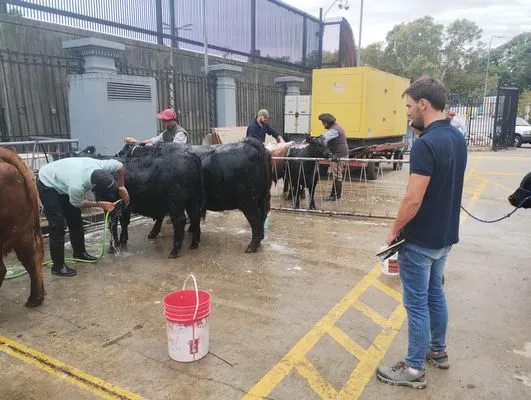 tn_IMG_20250519_122305769