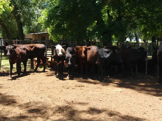 tn_IMG_20231213_122140650