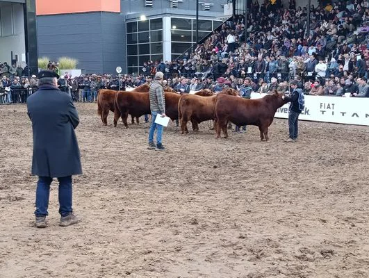 LOBO15