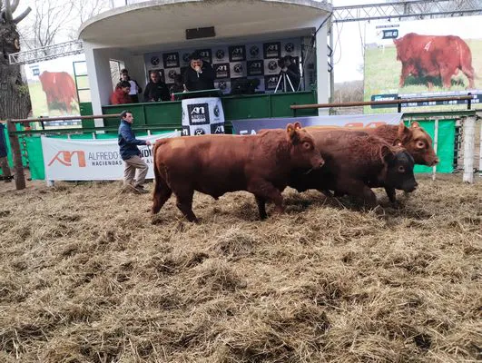 tn_IMG_20240625_160753712