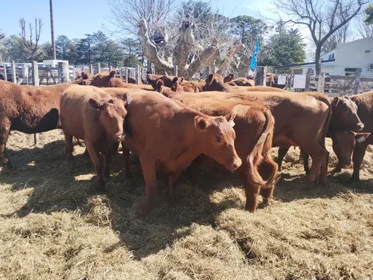 tn_IMG_20240912_131633336