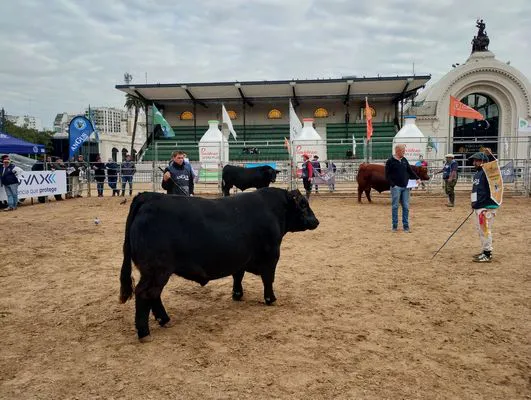 tn_IMG_20250521_143552767_HDR