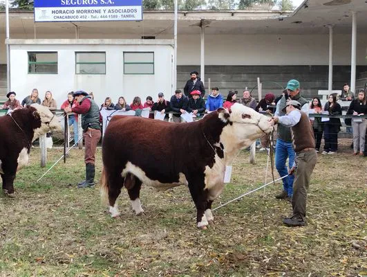 tn_IMG_20240530_143636925